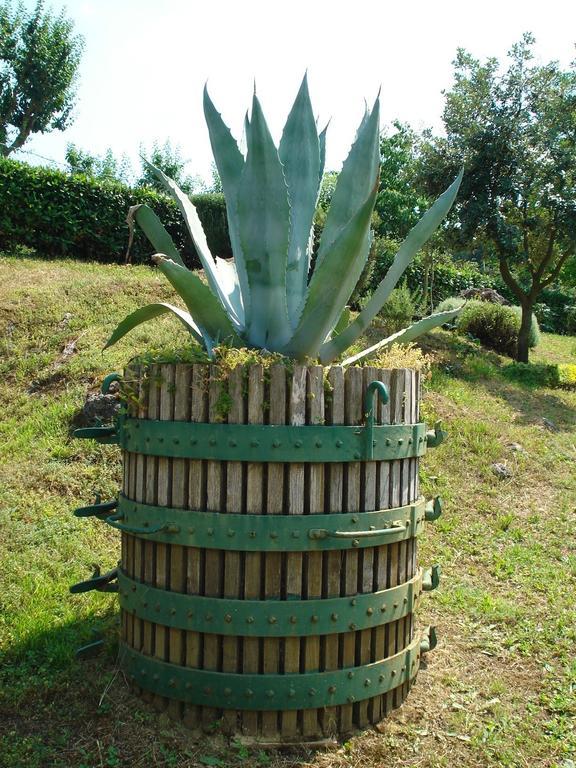 Agriturismo La Vigna San Gimignano Zewnętrze zdjęcie