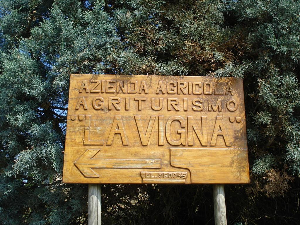 Agriturismo La Vigna San Gimignano Zewnętrze zdjęcie