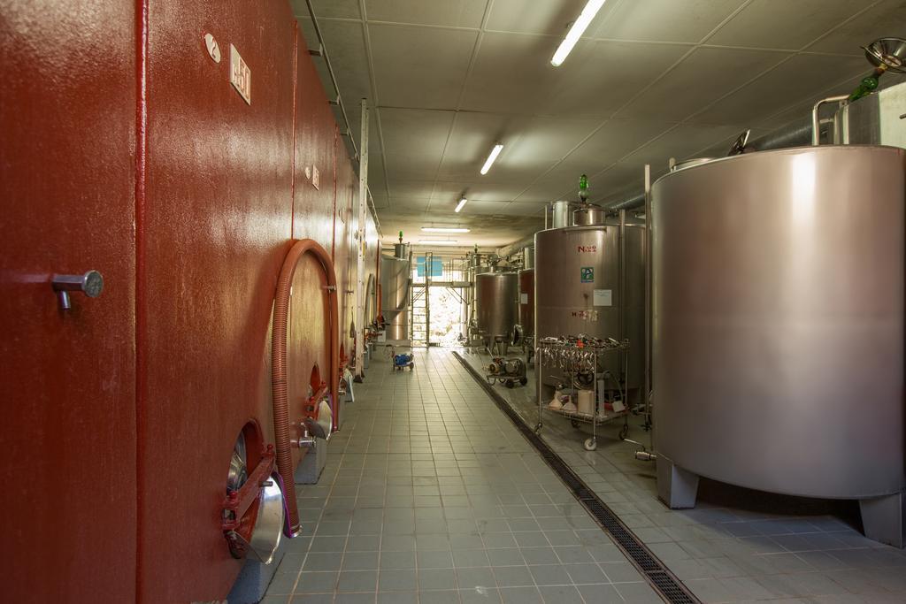 Agriturismo La Vigna San Gimignano Zewnętrze zdjęcie