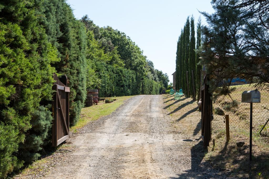 Agriturismo La Vigna San Gimignano Zewnętrze zdjęcie